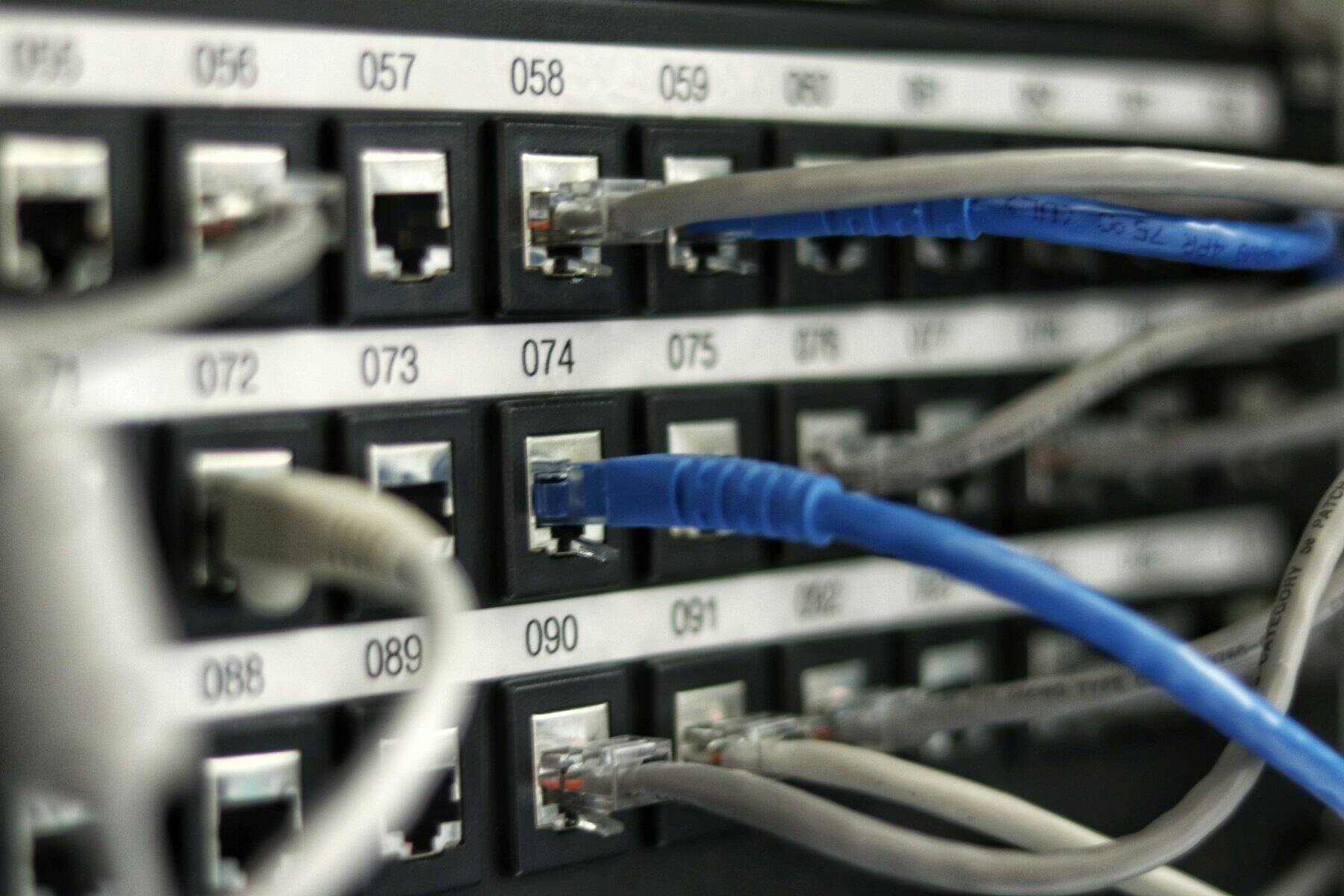 Blue and grey network cables in a patch panel